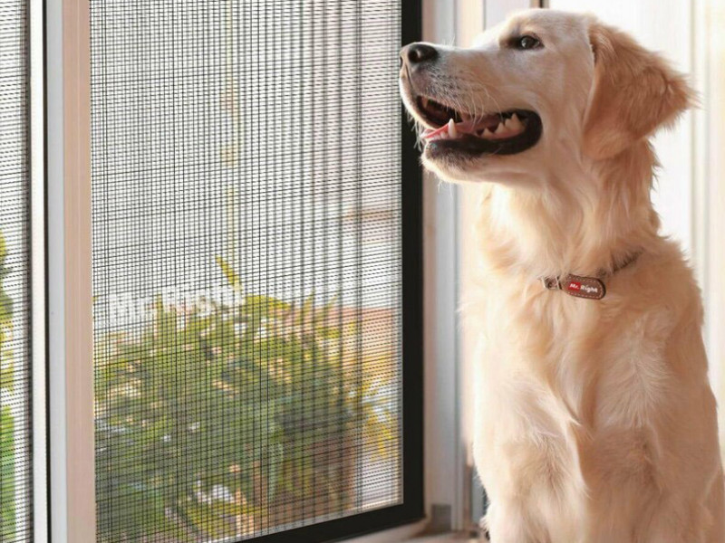 Szúnyogháló szerelés